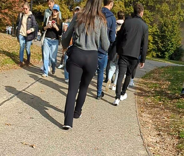 CentralPark (21)