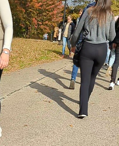 CentralPark (8)