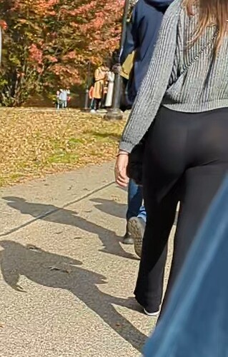 CentralPark (7)